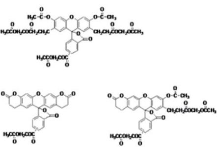 5f1f7cf0783d4.png image.png