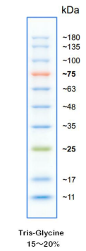 5f507edb3ca67.png image.png