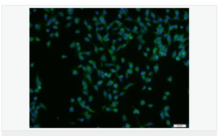 6052ab8d1e485.png image.png