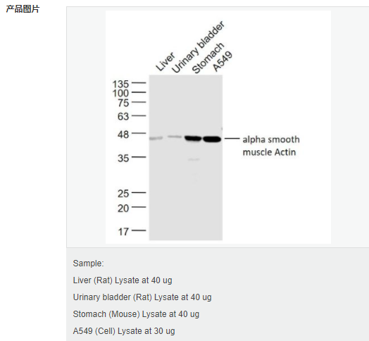 6052ae5ee2e1f.png image.png