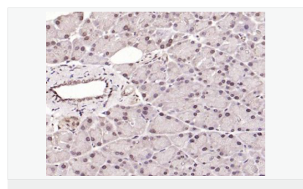 6052bc48828c0.png image.png