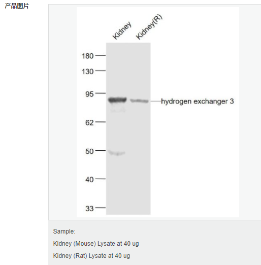 60543f4d756de.png image.png