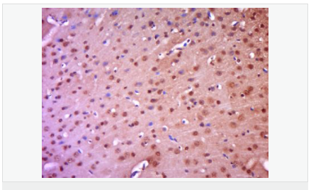 60543fd0c6fb7.png image.png