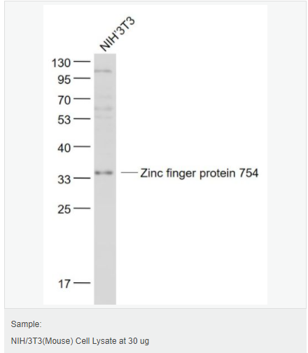 6058028433498.png image.png