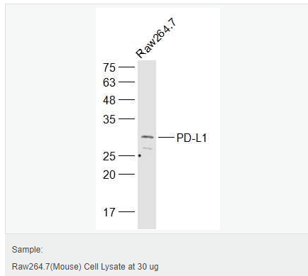 60582c82792bd.png image.png