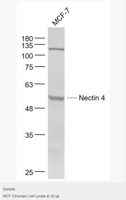 605833959613e.png image.png