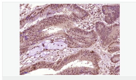 6058541838e05.png image.png