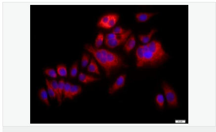 60594ac66fbda.png image.png