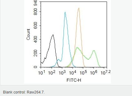 60594ae8d0e89.png image.png