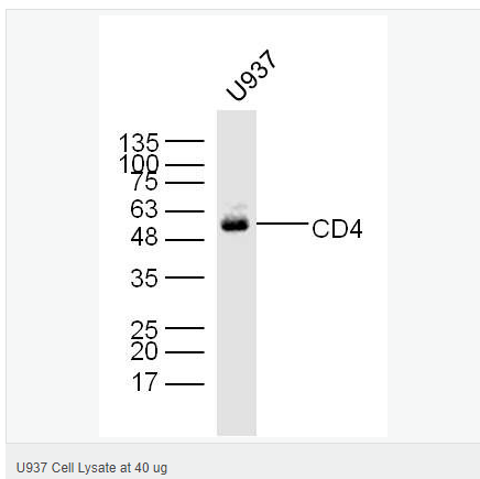 605c3eb72c34c.png image.png