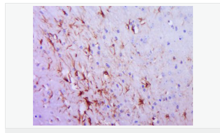 60612c1b9d1f4.png image.png