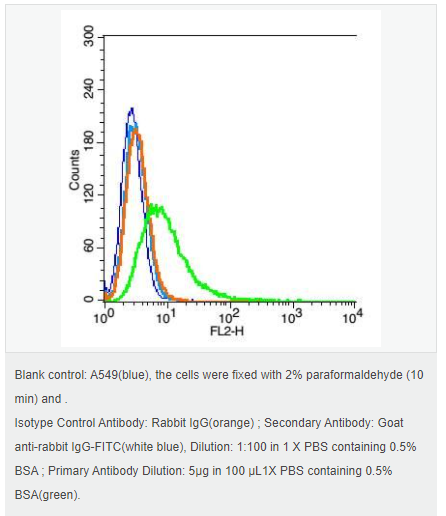 6066c54b3660b.png image.png