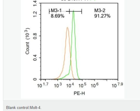 60765fd243241.png image.png