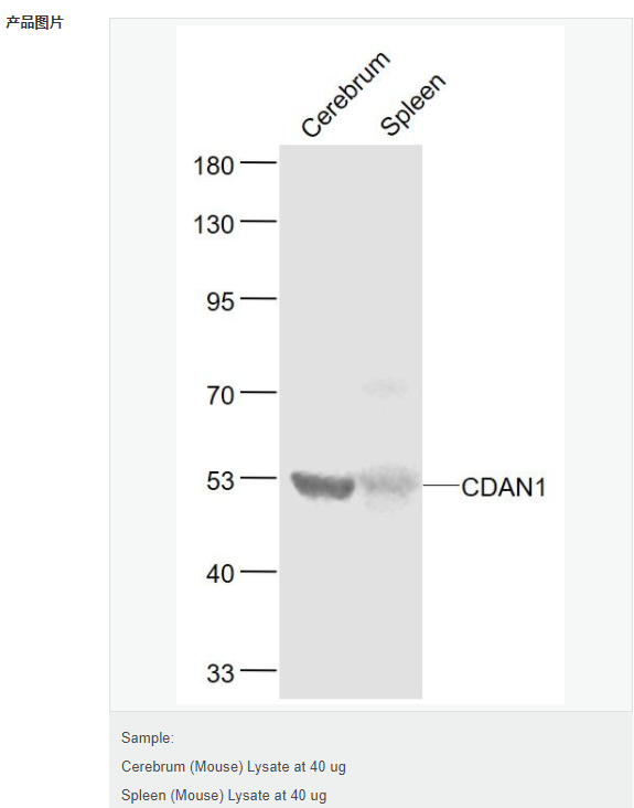 6079333e78a62.png image.png