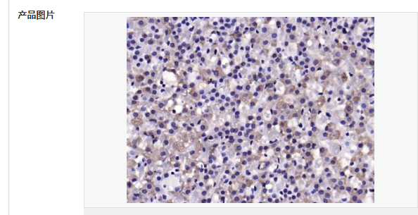 607d1663734d8.png image.png