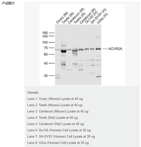 607d1803af8ac.png image.png